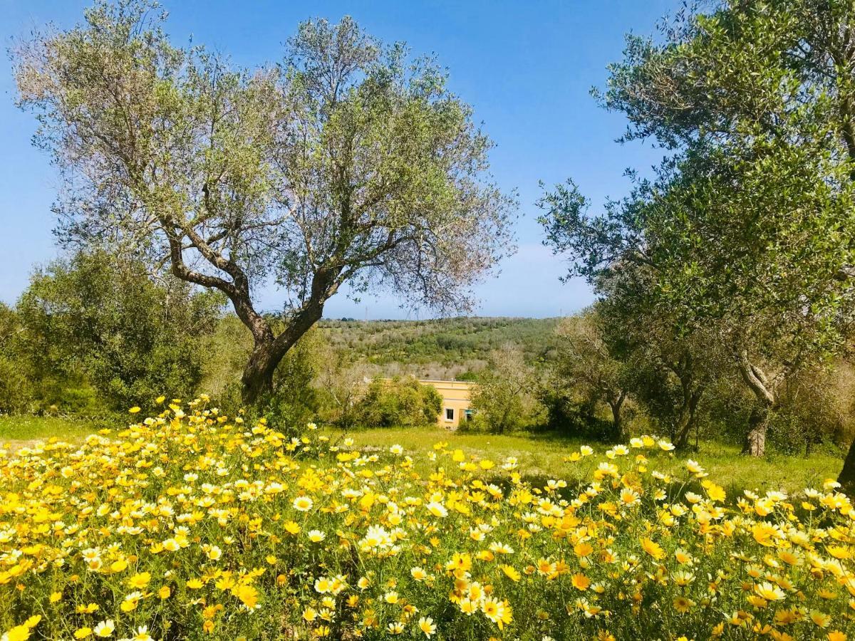 Le Palombelle Casa Vacanze Otranto Buitenkant foto